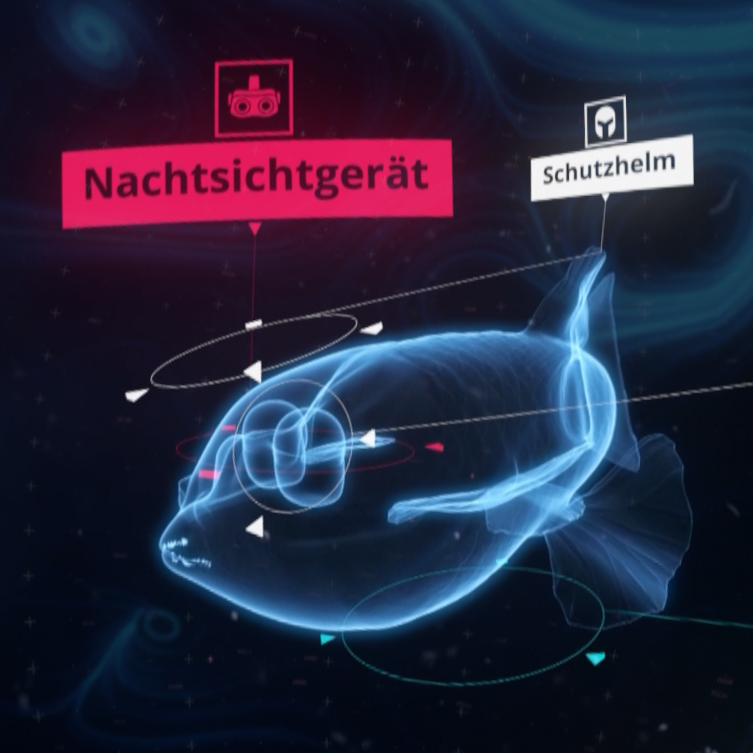 3D ist vielfältig